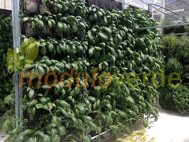 Panel Huerto Vertical